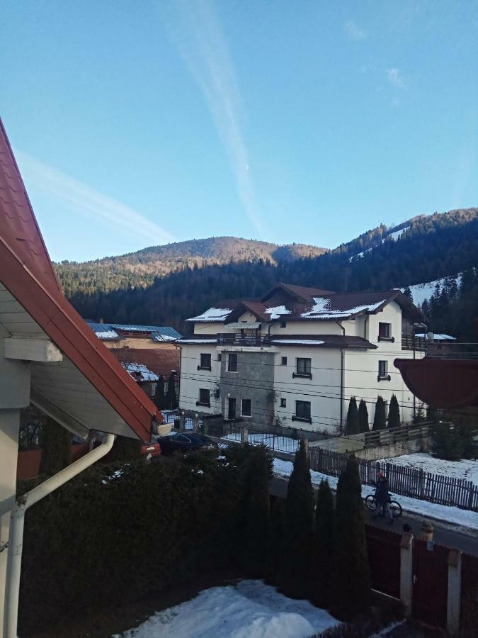 Casa Alexandru Hotel Azuga Exterior foto